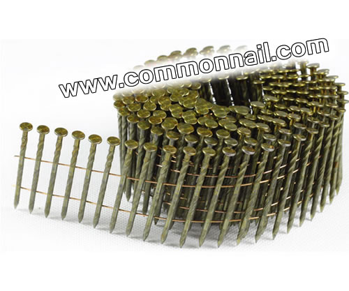 Hot Dipped Galvanised Coiled Nails