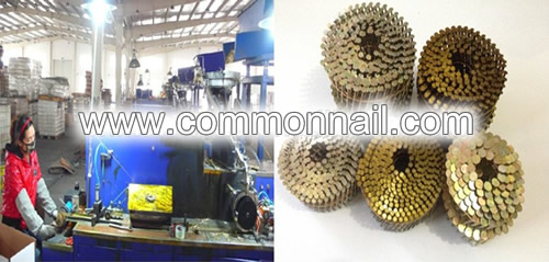 Yellow Coated Coil Wire Nails