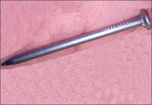 Galvanized iron common nails, 1 inch nails