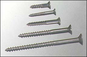 Galvanized Steel Screw Nails for Fixing Woods Uses