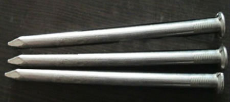 Common round galvanized nails hot dipped galvanized for general fastening