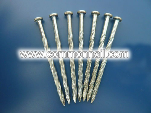 Ring Shanks Galvanized Steel Nails