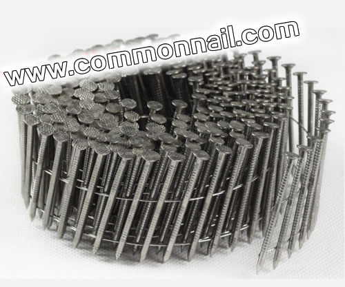 304 SS Coils Nails