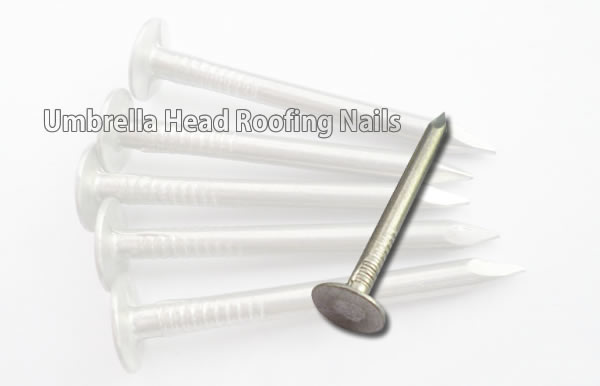 Umbrella Head Roofing Nails