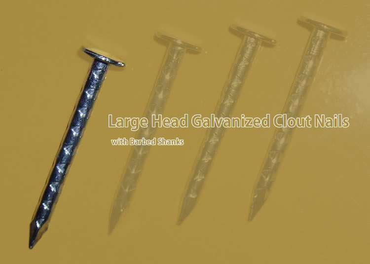 Large Head Galvanized Clout Nails with Barbed Shanks